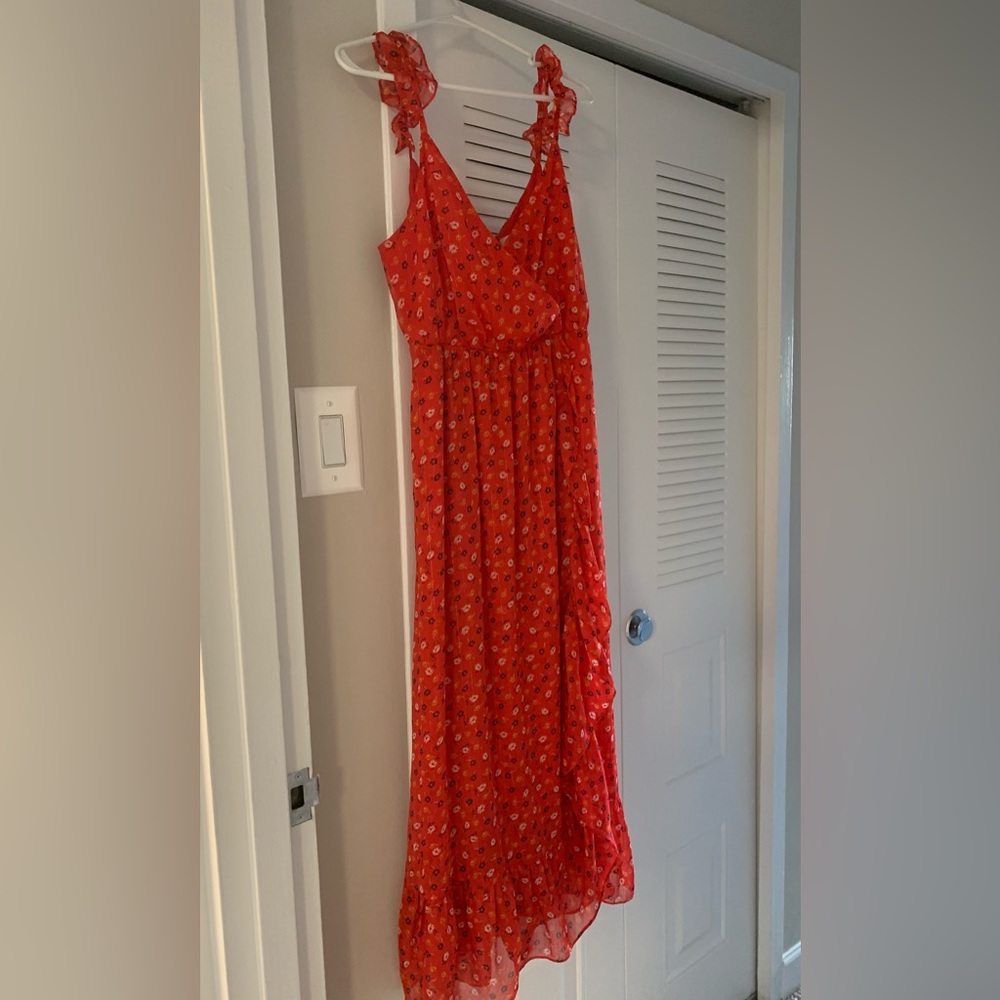 Madewell Red Floral Ruffle Strap Dress in Metallic Striped Prairie Posies Size 8